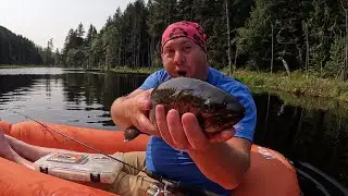 Washington's 2023 ALPINE TROUT SEASON is Going to be AMAZING!  Early Start!