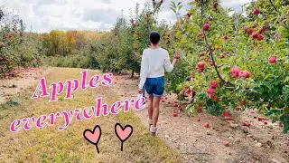 LET'S PICK SOME APPLES | Bj Reece Orchard