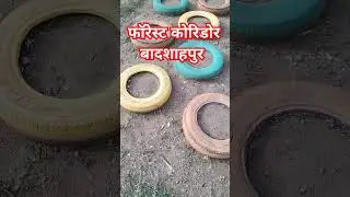 forest corridor badshahpur #viral #trending #shortvideo #youtubeshorts