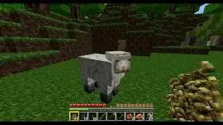 Let's Play together Minecraft Part 5 #Farmbau