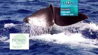 TELAUC16 0649