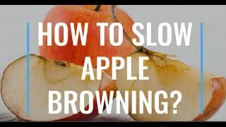 SLOWING APPLE BROWNING (Home Science Experiment): Slow Oxidation