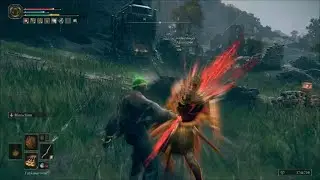 ELDEN RING Dlc LvL 1 Invasion Japan Hosts are great
