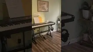 Zstyle Heavy Duty Adjustable Keyboard Stand - Universal Piano Stand  (Amazon)