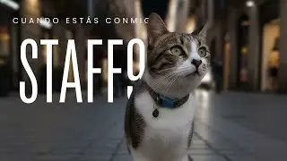 Cuando est&aacute;s conmigo - Staff9  (Visualizador)