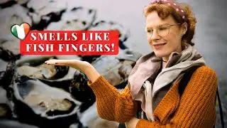 They ate 3,000,000 OYSTERS! | Galway Oyster Festival 2022