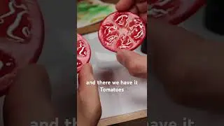 This Burger is Clay!