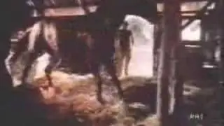 spot amaro montenegro 1987