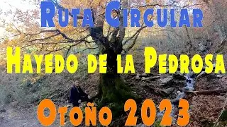 Hayedo de la Pedrosa. Ruta Circular por el Lomo de las Caseruelas