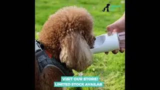 Dog's Portable Water Bottle