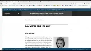 Video 3 Crime & Deviance