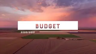 Budget 2020/2021 - Finance and Business Committee