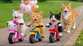 Mama Meow Life | Mama Cat Helps Kitten Buy His Dream Toy 🧸 | Heartwarming Story | Cat Family Healing