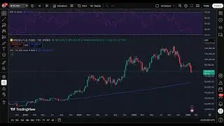 Live Bitcoin Chart with Shamanic Music
