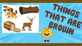 THINGS THAT ARE BROWN (Learn Brown Objects) Colour Brown and Objects | Click and Learn