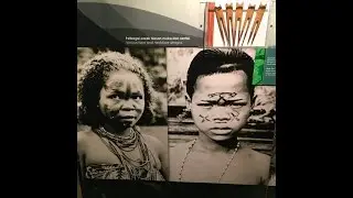 Malaysia: Who are the Orang Asli (Negritos) of SE Asia? & Ethnic Diversity