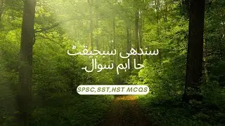 Most important mcqs of Sindhi for sst|important mcqs of Sindhi literature.