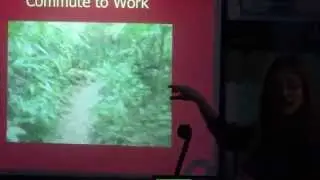 My commute to work in the jungle