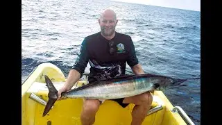 This Tuna KNEW What Was Coming… Seconds Later a Wahoo Exploded🎣Curacao Deep Sea Fishing Excursion