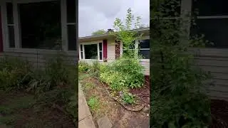 Front Garden-Before and After #shorts #transition #yardmakeover #diy #beforeandafter