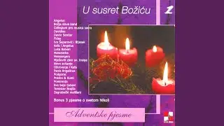 Visom Leteć