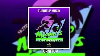 Miami's Most Wanted | Skitzofrenix - In To House [OUT NOW!]