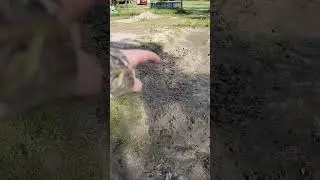 Day 15 of digging a pond by hand