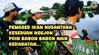PEMASER IKAN NUSANTARA | NGEJON NILA BABON 2 SPOT, POIN MELIMPAH...