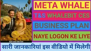 META WHALE T&S WHALEBIT CES BUSINESS PLAN NAYE LOGON KE LIYE AASAN SHABDON M 🤝