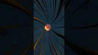 #bestof2025 #dailyhits #favoritesongs #Music2025, #TopSongs, #TrendingMusic, #NewHits, #besttracks