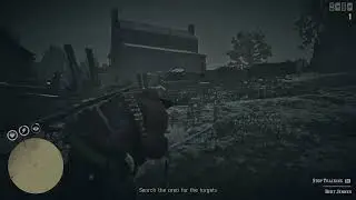 RED DEAD 2 ONLINE SHENANIGANS