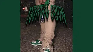 Nextel Back