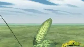 Frog Jump Animation-1-Created In Vue By MaryHines