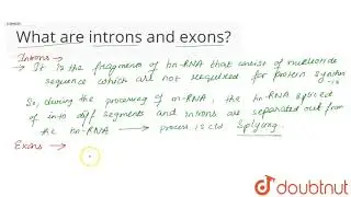 What are introns and exons?