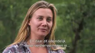 De Onderstroom