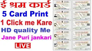 E shram Card 5 Print A4 Paper me 1 Click Me Kaise Kare LIVE 2021 By Tips All Time