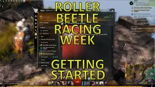 GW2 - Roller Beetle Racing Week: Getting Started (Sareb Location)