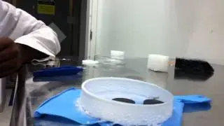 YBCO Experiment