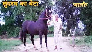 जालौर का एक और छुपा हुआ हीरा नवरतन 096805 32437