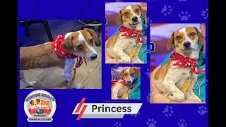 Princess Rescue Buddy of the week 1.23.26