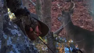 South Carolina Late Season Deer Hunting 2021 | Young 8 point shows himself!