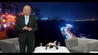 Franco & Bravo: Programa del domingo 23 de noviembre del 2025