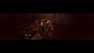 STALKER 2 eaten by Horde of rats