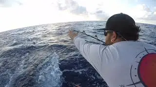 Wahoo fishing in the Cayman Islands