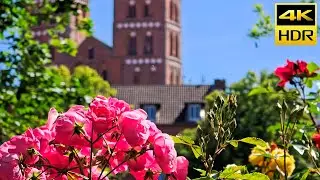 L&uuml;beck's Floral Beauty in 4K HDR10 | A Colorful Springtime Journey