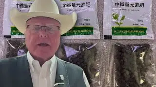 Interview: Mystery seeds from China flooding Texas mailboxes