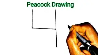 How_to_draw_peacock_Easy___peacock_drawing_from_number_4___drawing_with_ number.  Artist Zahidul