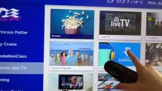 Discovery Princess   TV - HDMI Connect Your Device
