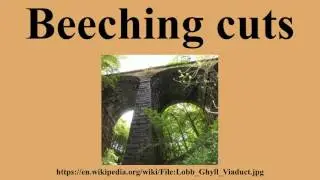 Beeching cuts