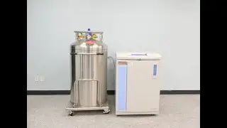 Thermo Cryoplus 2 Cryo Storage System ID 17819